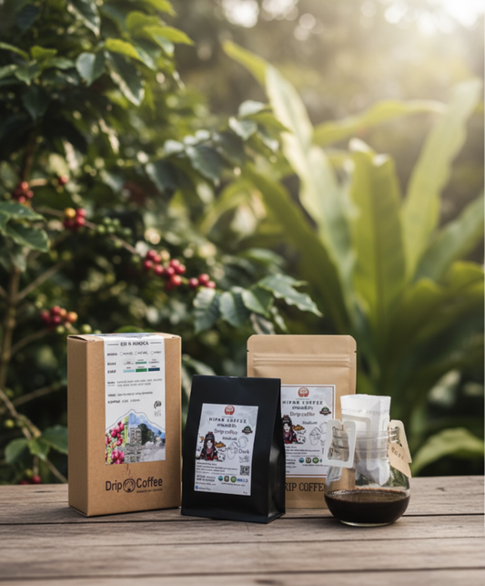 Mipaa Coffee	"100% Arabica (Drip Bag) 10 bag"