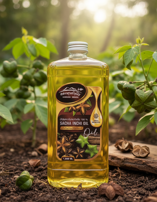 Doi Tung Thanyaphueat - Sacha Inchi Oil Cold Pressed